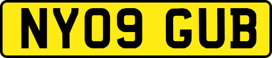 NY09GUB