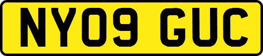 NY09GUC