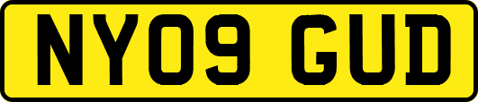 NY09GUD