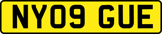 NY09GUE