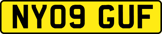NY09GUF
