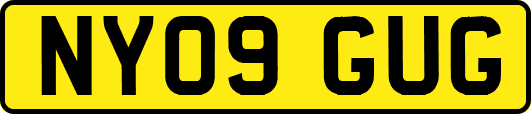 NY09GUG