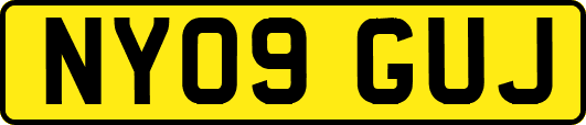 NY09GUJ