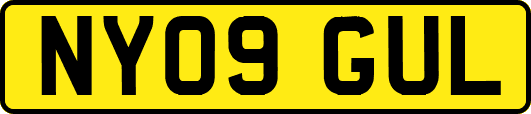 NY09GUL