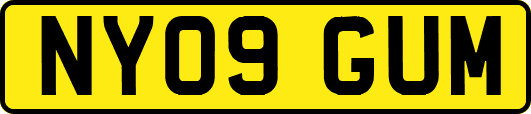 NY09GUM