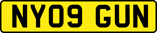 NY09GUN
