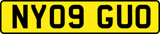 NY09GUO