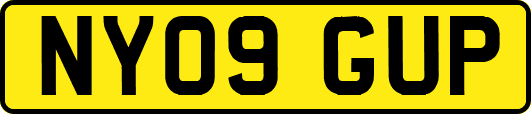NY09GUP