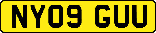 NY09GUU
