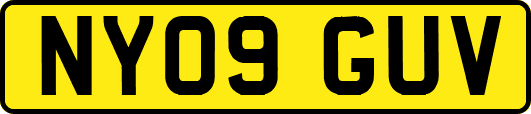 NY09GUV