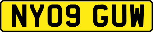 NY09GUW