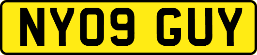 NY09GUY