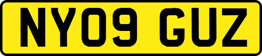 NY09GUZ