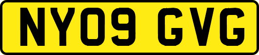 NY09GVG