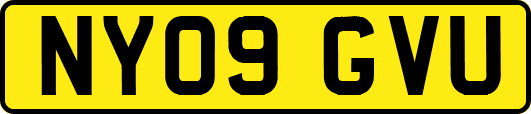NY09GVU