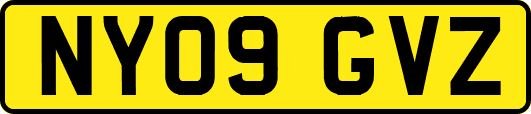 NY09GVZ