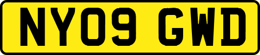 NY09GWD