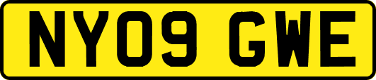 NY09GWE