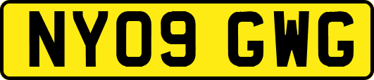 NY09GWG