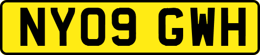 NY09GWH