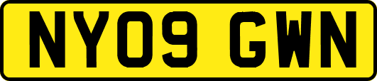 NY09GWN