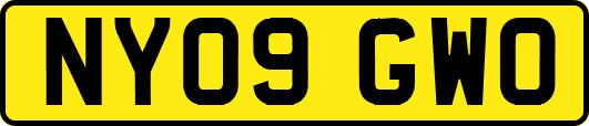 NY09GWO