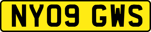 NY09GWS