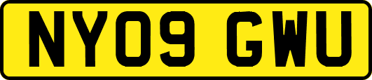 NY09GWU