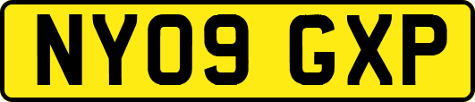 NY09GXP