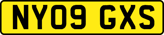 NY09GXS