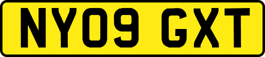 NY09GXT
