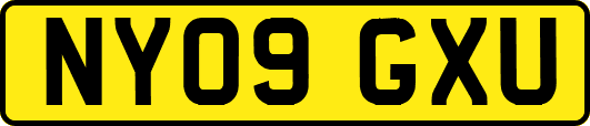 NY09GXU