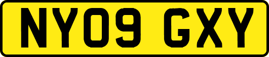 NY09GXY