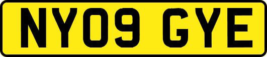 NY09GYE