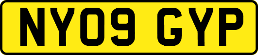 NY09GYP