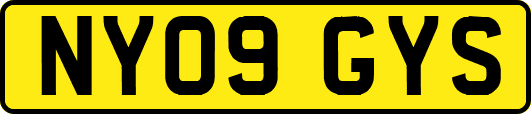 NY09GYS