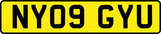 NY09GYU