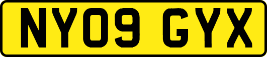NY09GYX