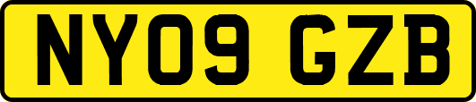 NY09GZB