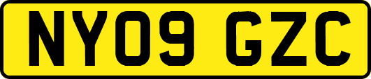 NY09GZC