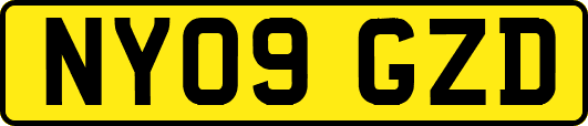 NY09GZD