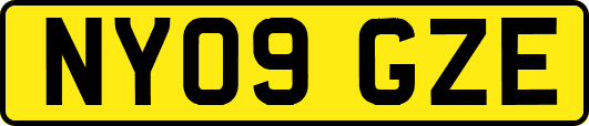 NY09GZE