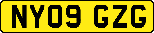 NY09GZG
