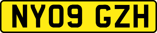 NY09GZH