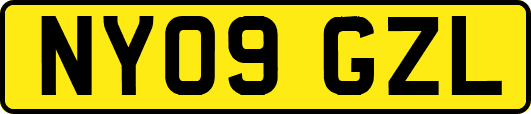 NY09GZL