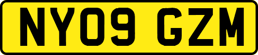 NY09GZM