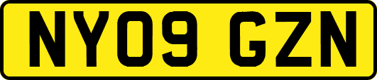 NY09GZN