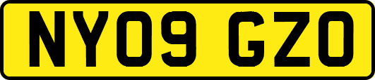 NY09GZO