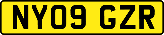 NY09GZR