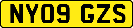 NY09GZS